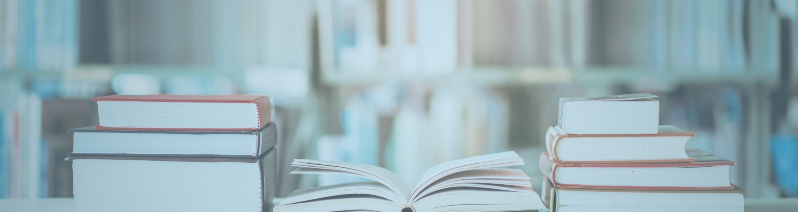 So You Want to Be a Sunday School of Excellence