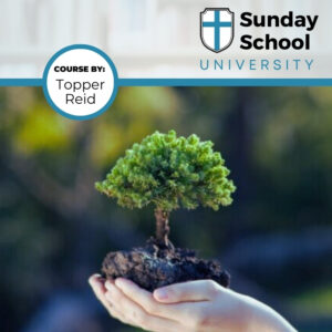 Ministry: Keeping Tabs on Group Members' Needs - course by Topper Reid