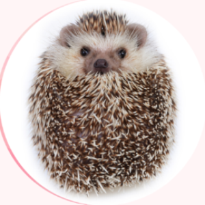 Profile photo of Maria